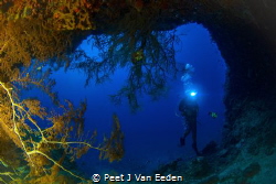 One of the many caves at Situ island Mozambique by Peet J Van Eeden 